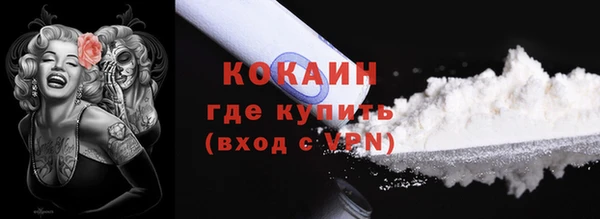 кокс Алексин