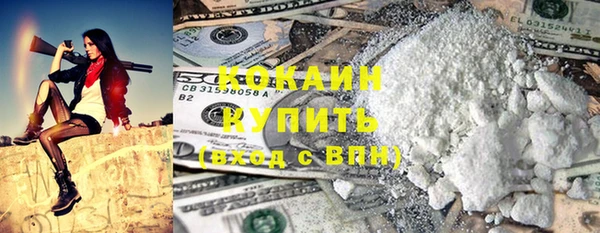 кокс Алексин