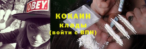 кокс Алексин